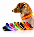 LED Glow Dog Collar – USB Rechargeable Night Safety Collar for Dogs