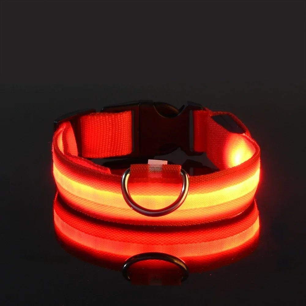 LED Glow Dog Collar – USB Rechargeable Night Safety Collar for Dogs