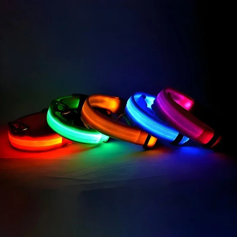 Rechargeable LED Glow Dog Collar for Safe Night Walks
