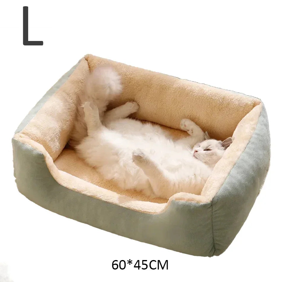Cat lying on a beige and green pet bed with dimensions 60*45CM.