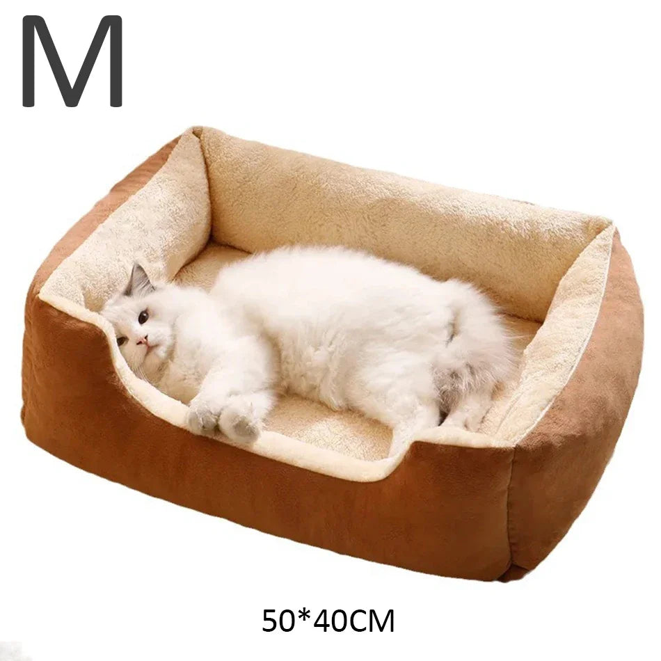 Cat lying on a brown pet bed with dimensions 50*40CM, on a white background.