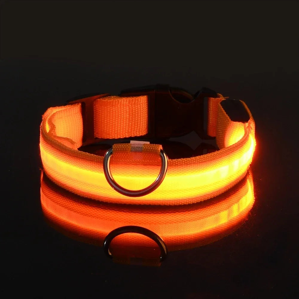 LED Glow Dog Collar – USB Rechargeable Night Safety Collar for Dogs