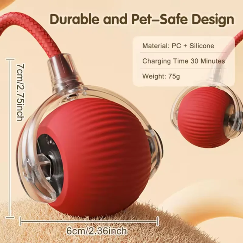 Indoor cat enrichment toy
