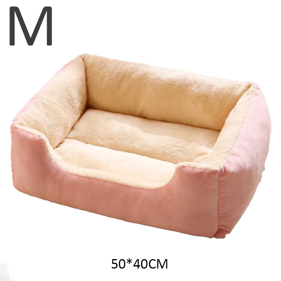 Modern indoor cat bed
