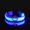 Rechargeable LED Glow Dog Collar for Safe Night Walks