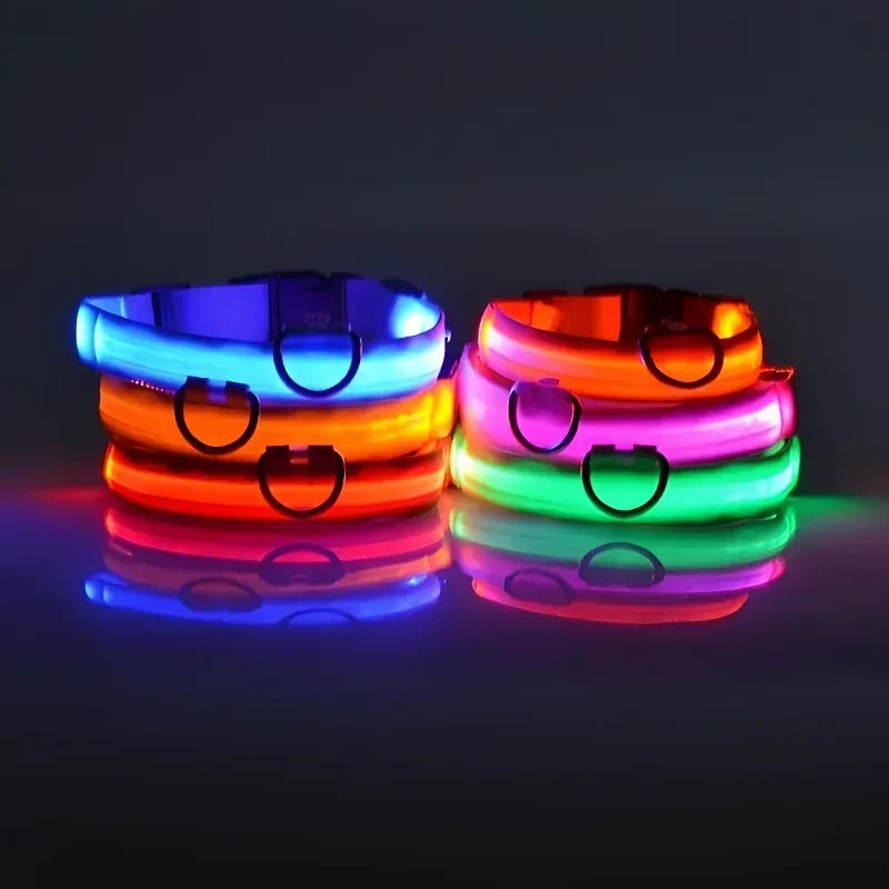 Rechargeable LED Glow Dog Collar for Safe Night Walks