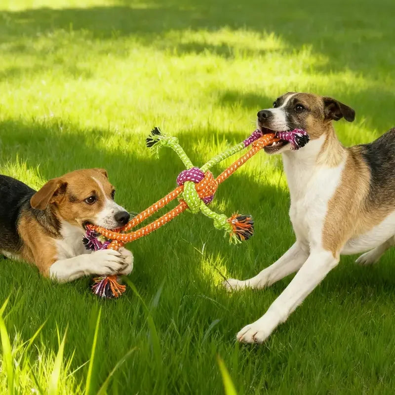Durable Chew Toy 