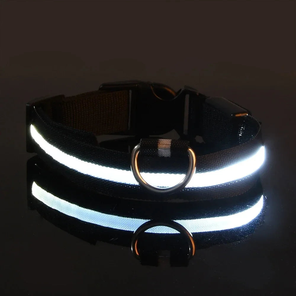 LED Glow Dog Collar – USB Rechargeable Night Safety Collar for Dogs