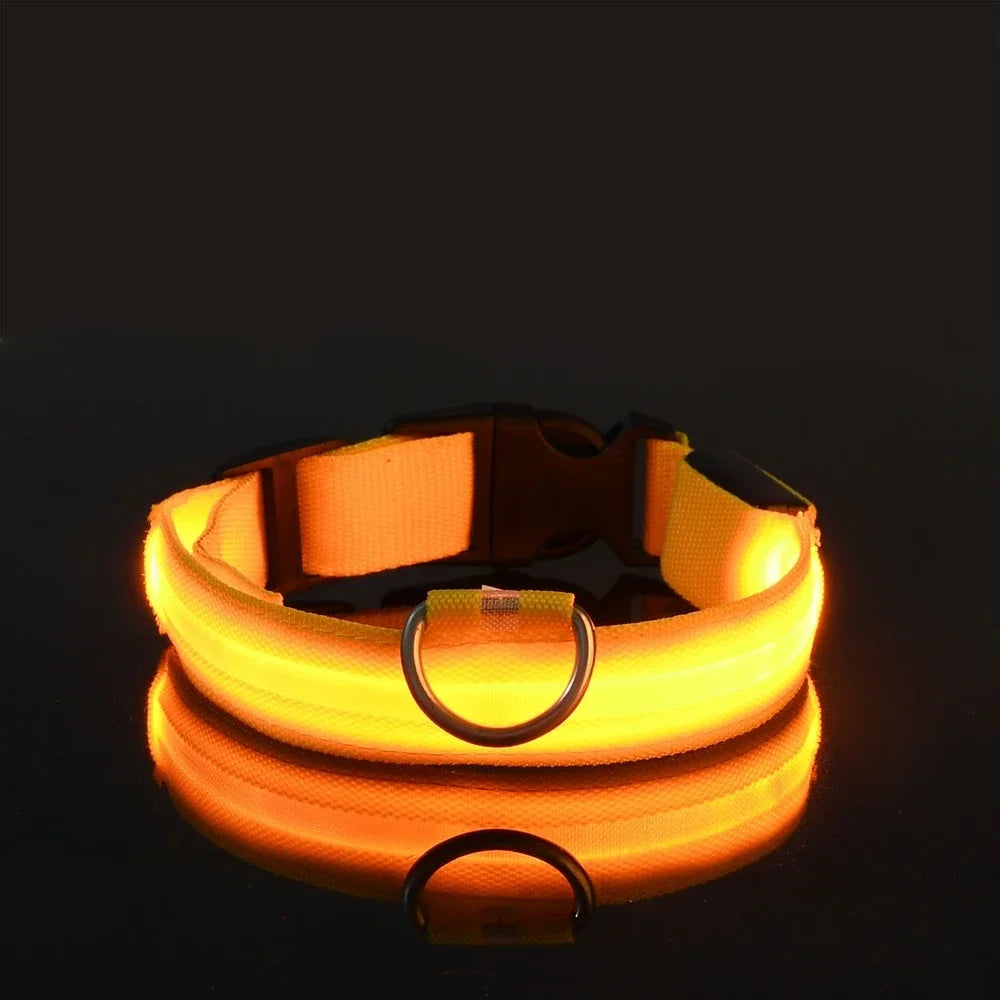 LED Glow Dog Collar – USB Rechargeable Night Safety Collar for Dogs