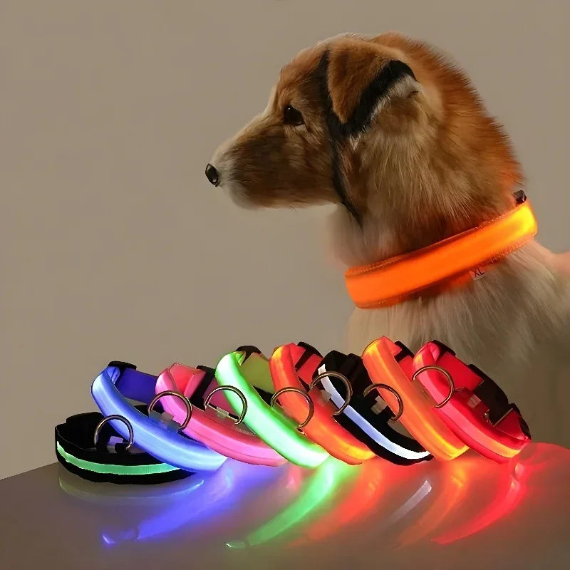 Rechargeable LED Glow Dog Collar for Safe Night Walks