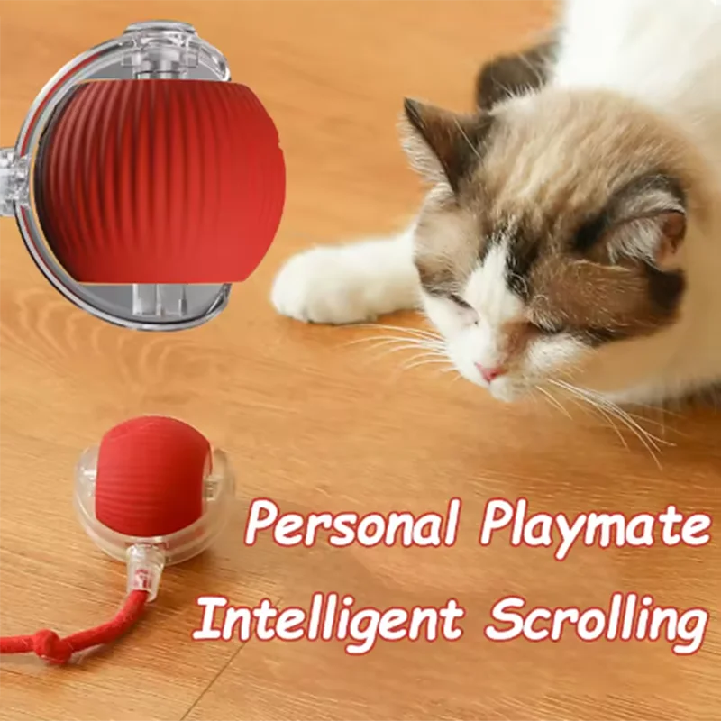 Automatic cat exercise toy

