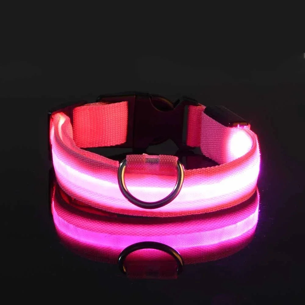 LED Glow Dog Collar – USB Rechargeable Night Safety Collar for Dogs