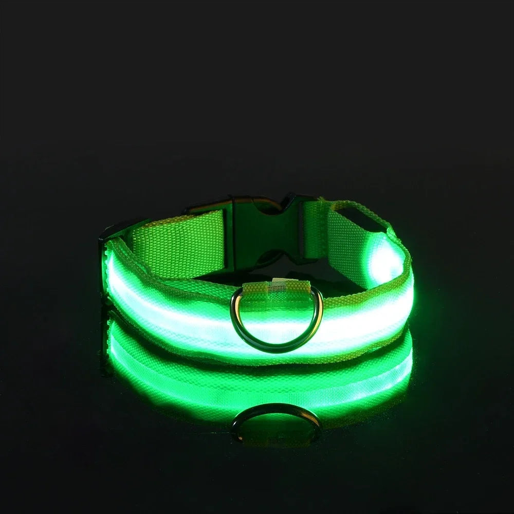 LED Glow Dog Collar – USB Rechargeable Night Safety Collar for Dogs