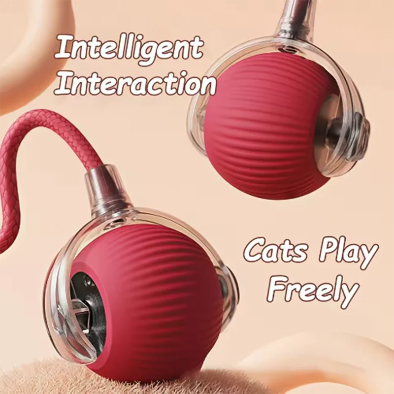 Interactive cat teaser ball
